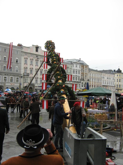 Linzer Maibaum 26.JPG